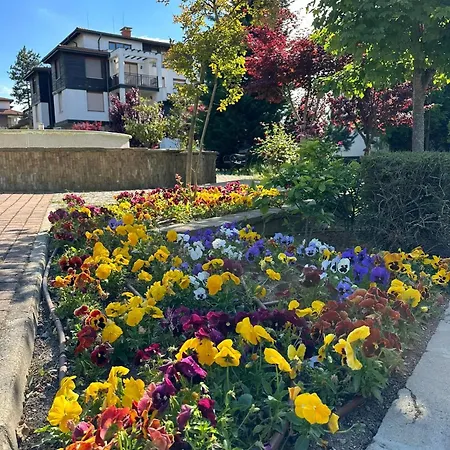 Sea Breeze Veranda In Santa Marina Apartament *