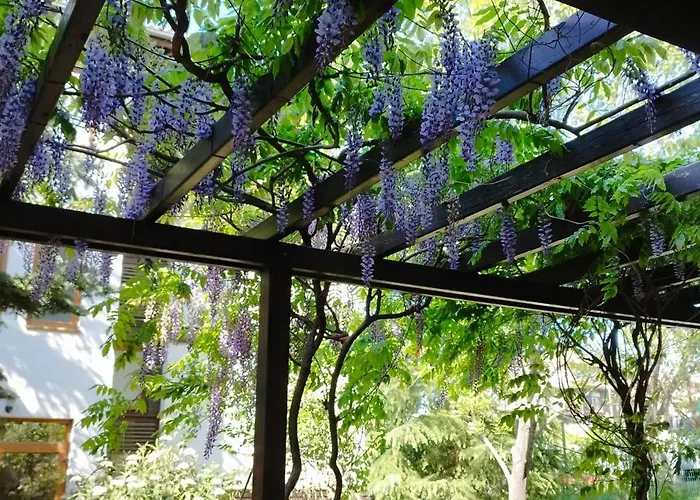 Apartament Sea Breeze Veranda In Santa Marina *