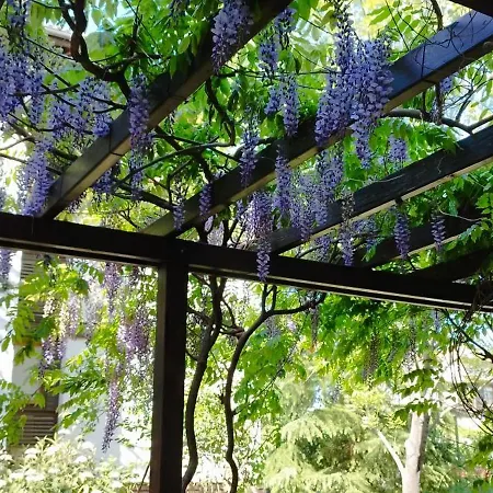 アパート Sea Breeze Veranda In Santa Marina *