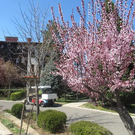 Sea Breeze Veranda In Santa Marina סוזופול
